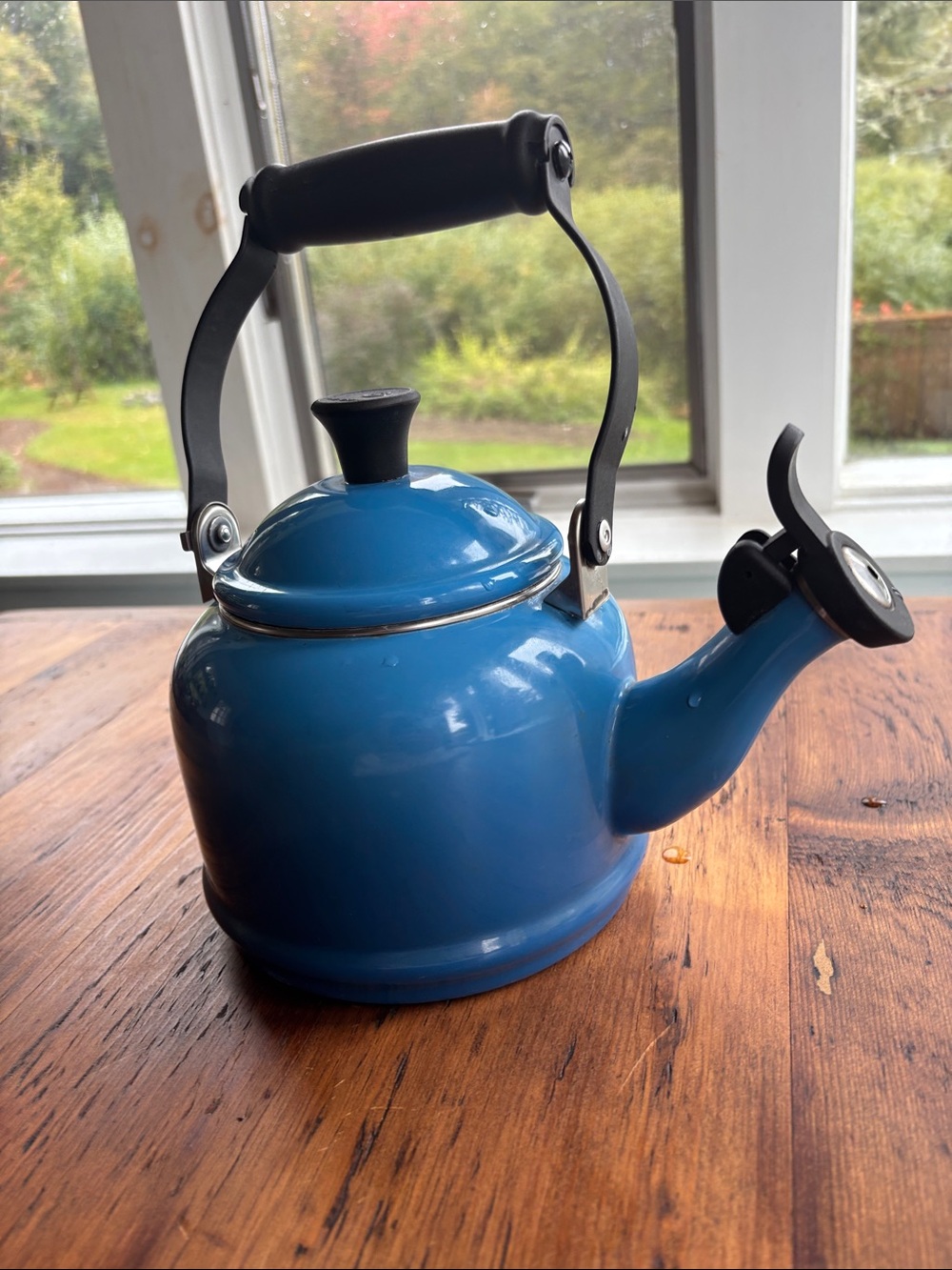 Les Creuset tea kettle